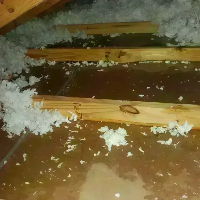 Attic Water Damage in Wrightsville Beach, NC