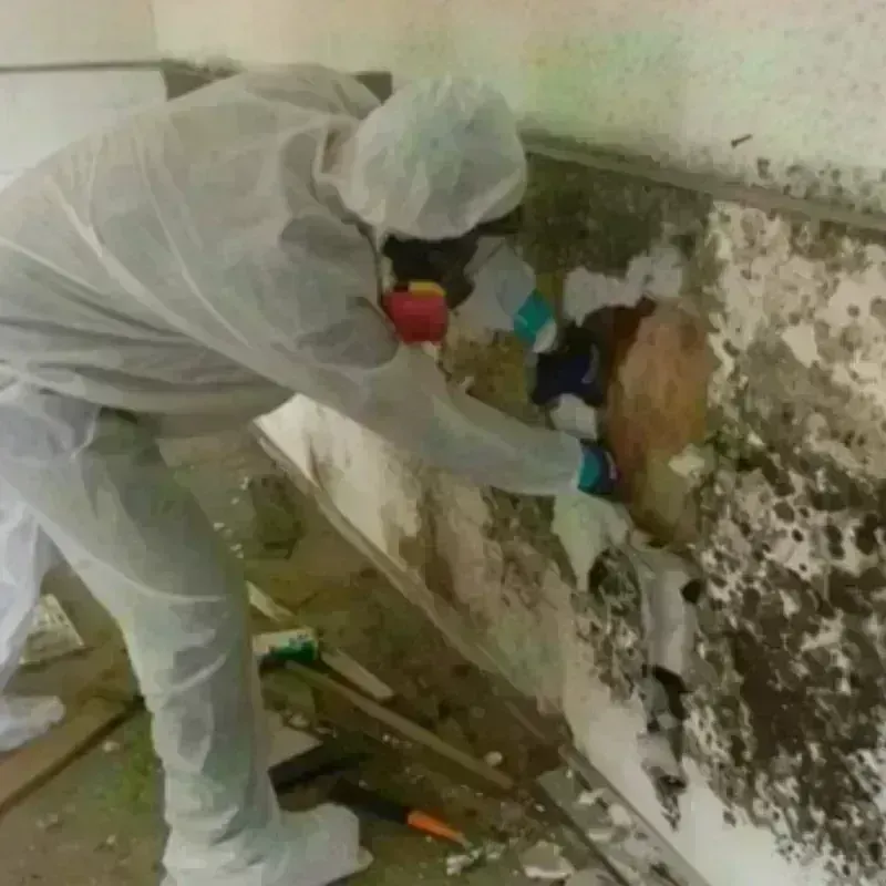 Mold Remediation and Removal in Wrightsville Beach, NC